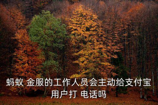 螞蟻 金服的工作人員會(huì)主動(dòng)給支付寶用戶打 電話嗎