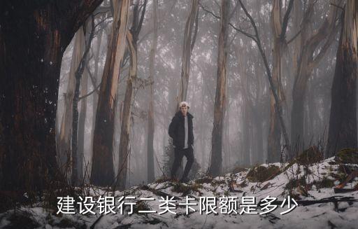 建行貸記卡轉(zhuǎn)賬最多多少,建行一天最多能轉(zhuǎn)賬多少