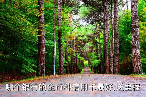 東航龍卡世界睿我卡額度是多少錢