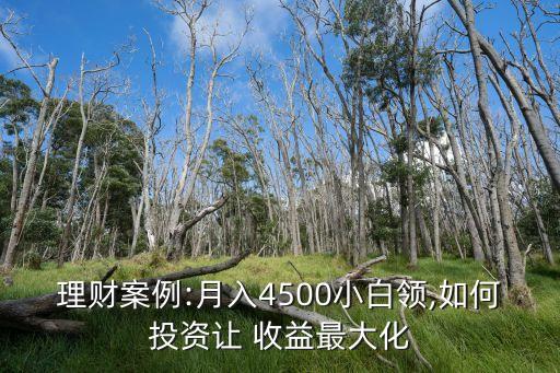 理財(cái)案例:月入4500小白領(lǐng),如何投資讓 收益最大化