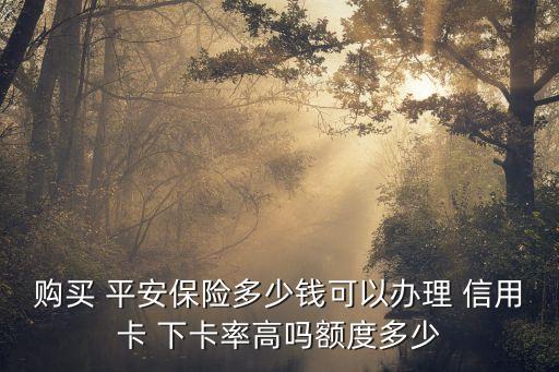 購買 平安保險多少錢可以辦理 信用卡 下卡率高嗎額度多少