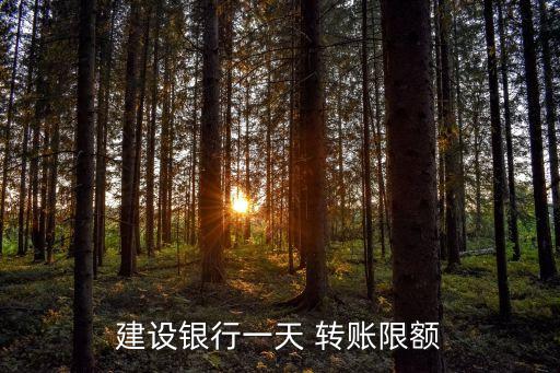 建設(shè)銀行一天 轉(zhuǎn)賬限額