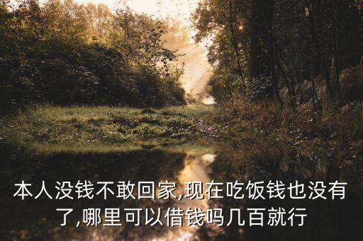 本人沒(méi)錢不敢回家,現(xiàn)在吃飯錢也沒(méi)有了,哪里可以借錢嗎幾百就行
