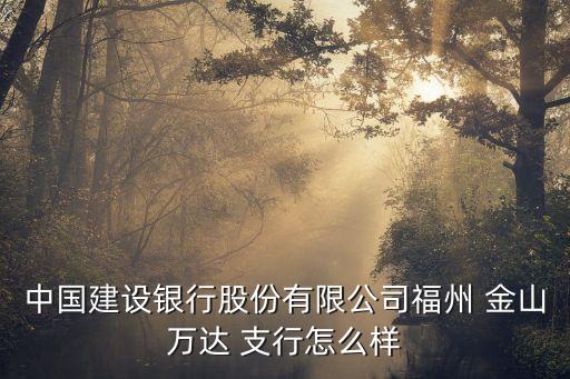 中國(guó)建設(shè)銀行股份有限公司福州 金山萬(wàn)達(dá) 支行怎么樣