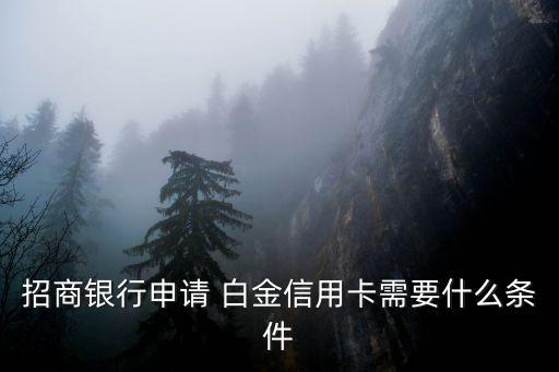 招商銀行申請 白金信用卡需要什么條件