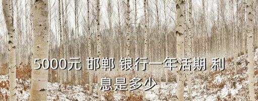 5000元 邯鄲 銀行一年活期 利息是多少