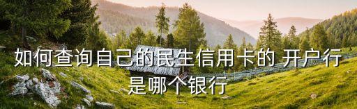 民生銀行開戶行號(hào)是多少