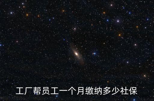工廠幫員工一個(gè)月繳納多少社保