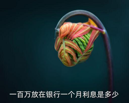 一百萬放在銀行一個(gè)月利息是多少