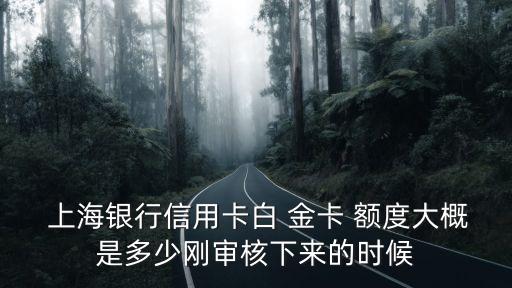 上海銀行金卡額度一般多少錢