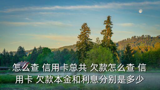 怎么查 信用卡總共 欠款怎么查 信用卡 欠款本金和利息分別是多少
