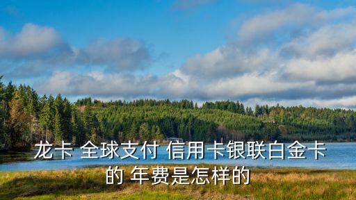 龍卡全球信用卡 年費是多少錢,龍卡bilibili信用卡年費