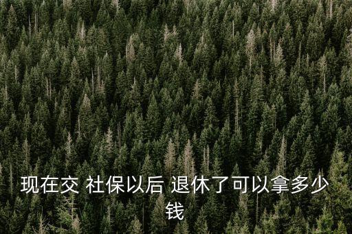 社保退休了能拿多少退休金