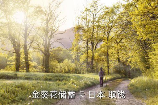 日本境外取錢手續(xù)費(fèi)多少,銀聯(lián)卡在日本取錢手續(xù)費(fèi)