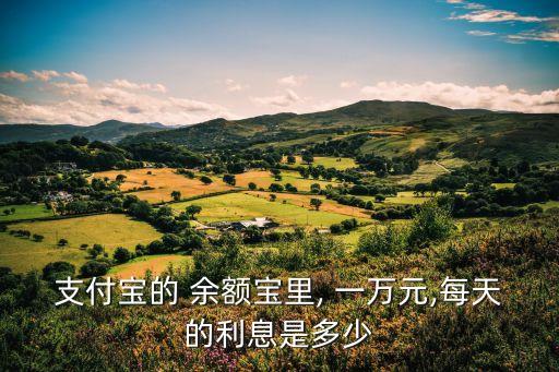 余額寶存一萬一天多少錢,投資100每天收益3.24元