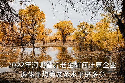 2022年河北省養(yǎng)老金如何計(jì)算企業(yè) 退休平均養(yǎng)老金水平是多少