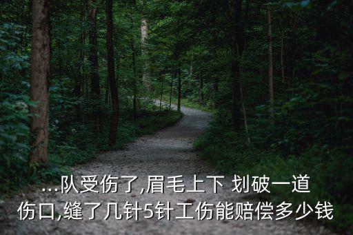 ...隊(duì)受傷了,眉毛上下 劃破一道傷口,縫了幾針5針工傷能賠償多少錢(qián)