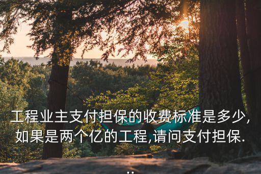 工程業(yè)主支付擔(dān)保的收費(fèi)標(biāo)準(zhǔn)是多少,如果是兩個億的工程,請問支付擔(dān)保...