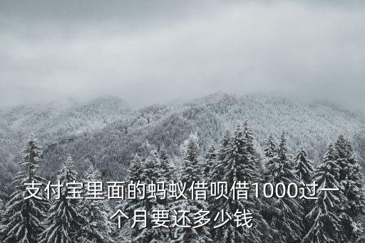 支付寶里面的螞蟻借唄借1000過一個(gè)月要還多少錢