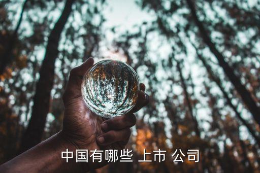 我國有多少家上市公司,上海國有上市公司有哪些家