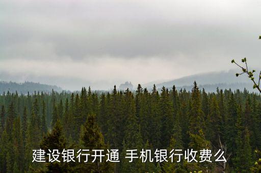 建設(shè)銀行開通 手機(jī)銀行收費(fèi)么