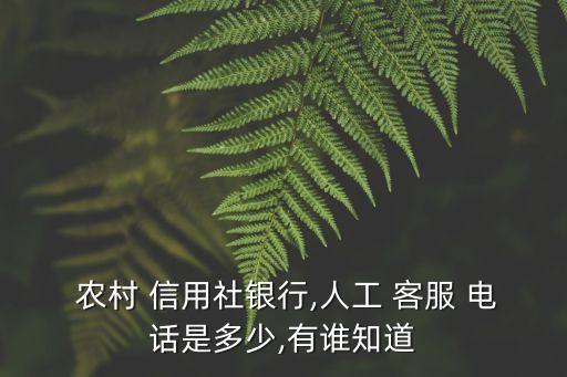  農(nóng)村 信用社銀行,人工 客服 電話是多少,有誰知道
