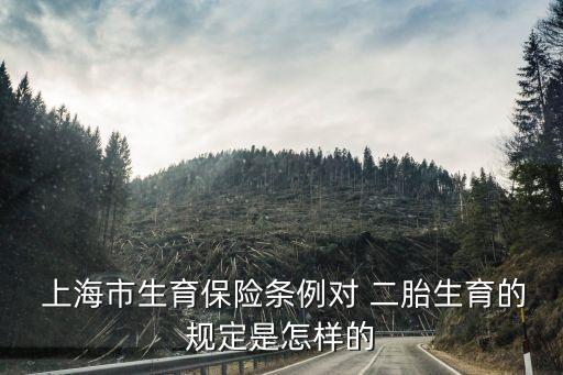上海多少錢可以生二胎,上海生個(gè)孩子大概需要多少錢