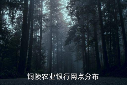 銅陵農(nóng)業(yè)銀行網(wǎng)點分布