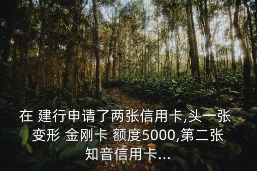 在 建行申請了兩張信用卡,頭一張 變形 金剛卡 額度5000,第二張知音信用卡...