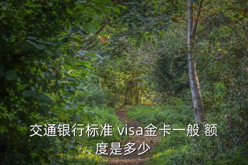 visa信用卡額度多少錢