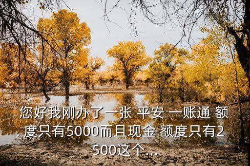 您好我剛辦了一張 平安 一賬通 額度只有5000而且現(xiàn)金 額度只有2500這個(gè)...