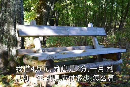 我借4萬(wàn)元, 利息是2分,一月 利息和一年 利息應(yīng)付多少,怎么算