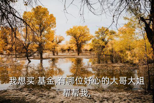 我想買 基金,有哪位好心的大哥大姐幫幫我,