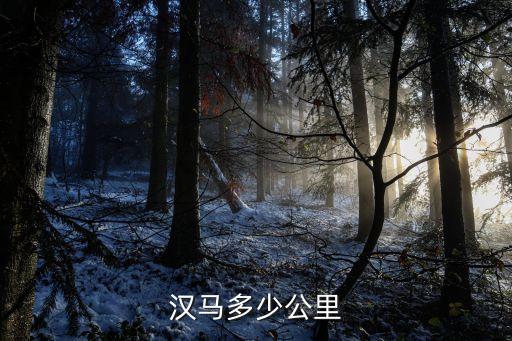 青島銀標(biāo)多少一瓶