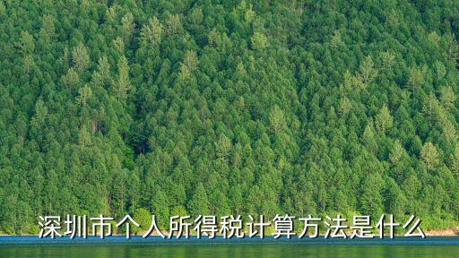  深圳市個人所得稅計算方法是什么