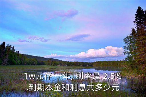 1w元存 一年, 利率是 2.5%,到期本金和利息共多少元
