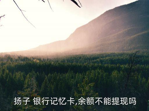  揚子 銀行記憶卡,余額不能提現(xiàn)嗎