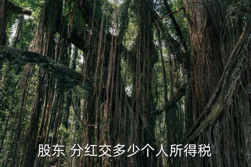 股東 分紅交多少個人所得稅