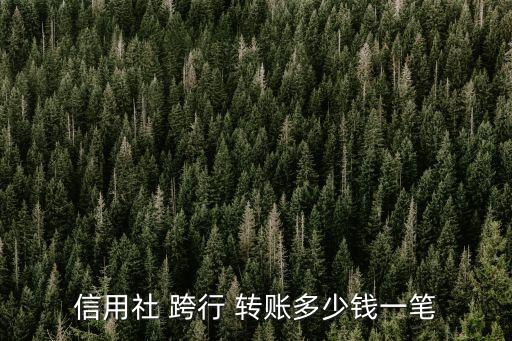 信用社 跨行 轉(zhuǎn)賬多少錢一筆