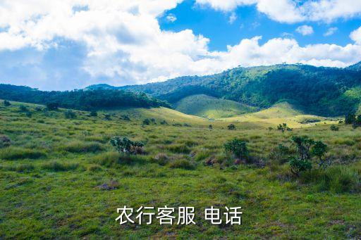 農(nóng)行客服 電話