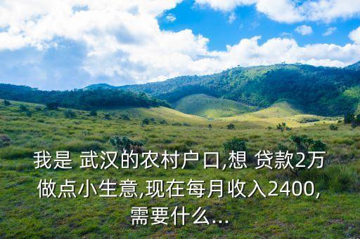 我是 武漢的農(nóng)村戶(hù)口,想 貸款2萬(wàn)做點(diǎn)小生意,現(xiàn)在每月收入2400,需要什么...