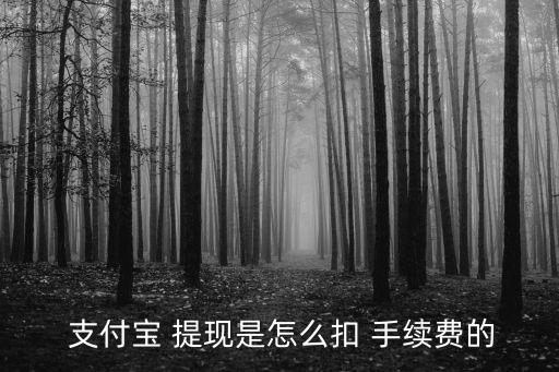 支付寶多少提現(xiàn)額度就扣手續(xù)費嗎,個人支付寶提現(xiàn)額度是多少