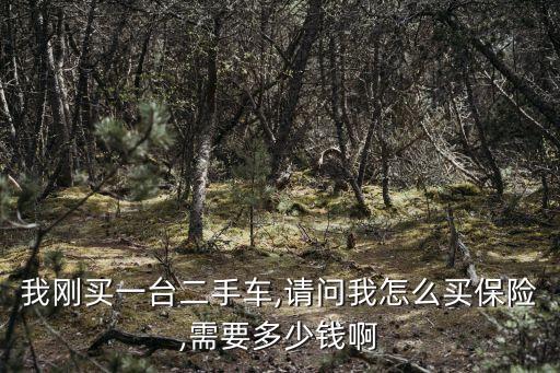 2手車車保險(xiǎn)全保多少錢