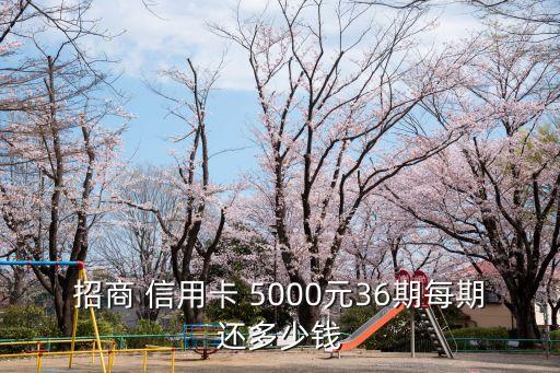 信用卡5000六個月分期需要多少利息多少