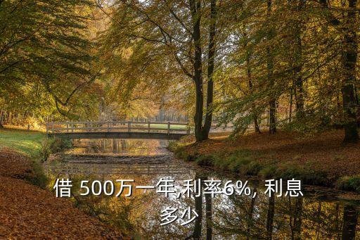 借 500萬一年,利率6%, 利息多少