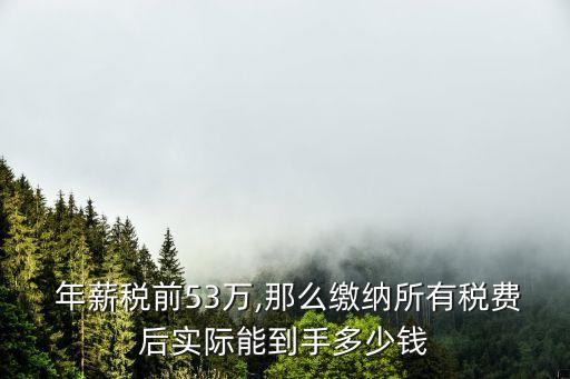 年薪54萬稅后是多少錢