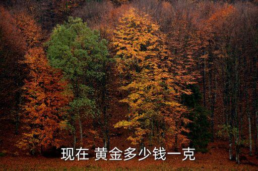 黃金今日多少錢
