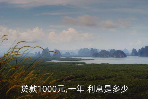  貸款1000元,一年 利息是多少
