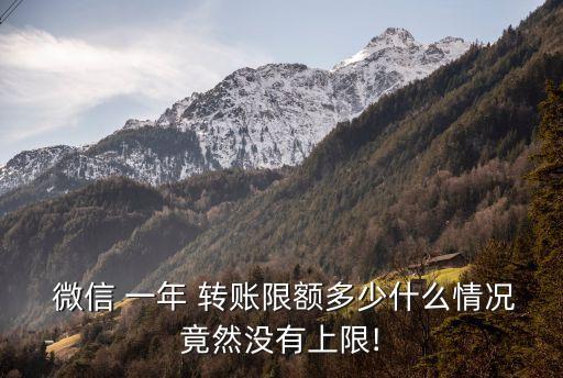 微信一年可以轉(zhuǎn)賬多少,轉(zhuǎn)賬10000元的微信截圖