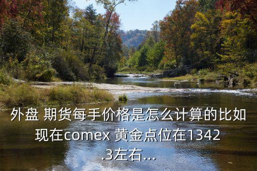 外盤 期貨每手價格是怎么計算的比如現(xiàn)在comex 黃金點(diǎn)位在1342.3左右...